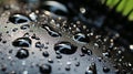 The sleek, glossy texture of a dolphin's skin, with water droplets glistening in the sunlight as Royalty Free Stock Photo