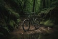 sleek, high-performance mountain bike surrounded by greenery