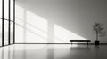 Sleek Minimalist Interior: Serene Black And White Photograph