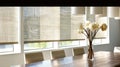 Sleek Modern Roller Blinds