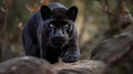 A slinking black panther prowling along a rock ledge created with Generative AI