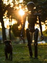 A sleek robot with a dark visor pauses attentively alongside a vigilant brown dog in the warm glow of a tree-lined