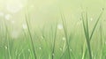A sleek and simple background with a fresh green grass with dewdrops. Royalty Free Stock Photo