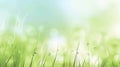 A sleek and simple background with a fresh green grass with dewdrops. Royalty Free Stock Photo