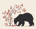 A sleek, simple image of a black bear foraging for berries, set against a clean background, highlighting natural behavior Royalty Free Stock Photo