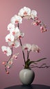 Sleek and Streamlined Japanese Arrangements with Product Floweri