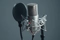Professional Studio Microphone with Pop Shield Royalty Free Stock Photo