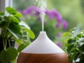 Modern aromatherapy diffuser amidst lush greenery isolated on white background Royalty Free Stock Photo