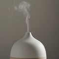 A sleek, white ceramic diffuser emits a delicate plume of vapor. Its smooth, rounded Royalty Free Stock Photo