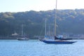 Sleek yacht moored on river Fowey in Fowey Cornwall, against backdrop of green wooded steep hillside