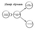 Sleep Apnea