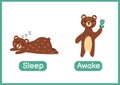 Sleep and awake opposite adjectives educational flashcard