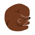 Sleep Bear in Circle Logo Designs Inspiration vector Royalty Free Stock Photo