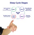 Sleep Cycle Stages Royalty Free Stock Photo