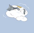 Sleeper Kitty on the clouds under a blanket