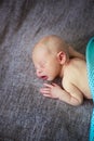 Sleeper newborn baby, gray background Royalty Free Stock Photo