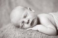 Sleeper newborn baby, a gray background Royalty Free Stock Photo