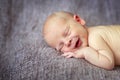 Sleeper newborn baby, gray background Royalty Free Stock Photo