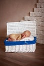 Sleeper newborn baby in white box Royalty Free Stock Photo