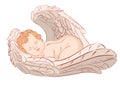 Sleeping Angel