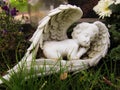 Sleeping Angel Royalty Free Stock Photo