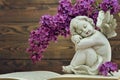 Sleeping angel and flower Royalty Free Stock Photo