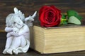 Sleeping angel, red rose and old book Royalty Free Stock Photo