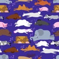 Sleeping animals seamless pattern. Seal and deer. Crocodile and Royalty Free Stock Photo