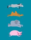 Sleeping animals set 4. Donkey and elephant. Camel and pig. Wild