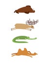 Sleeping animals set 1. Seal and moose. Crocodile and camel. wild animal sleeps. Sleepy beast