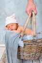 Sleeping baby in basket Royalty Free Stock Photo