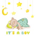 Sleeping Baby Bear and Stars