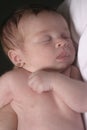 Sleeping Baby Girl being Held Royalty Free Stock Photo