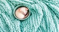 Sleeping baby rat in bowl on teal knit blanket Royalty Free Stock Photo