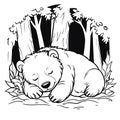 Sleeping bear cub amidst forest foliage Royalty Free Stock Photo