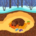Sleeping bear illustration. Winter hibernation of a bear in a cozy den Royalty Free Stock Photo