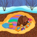 Sleeping bear illustration, winter hibernation of a bear in a cozy den Royalty Free Stock Photo
