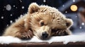 Sleeping Bear in Santa Hat: Winter\'s Peaceful Retreat