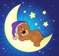 Sleeping bear theme image 5 Royalty Free Stock Photo