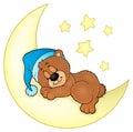 Sleeping bear theme image 4 Royalty Free Stock Photo