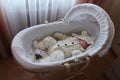 Sleeping beautiful 2 month old baby girl in a white knitted suit lies in her white crib