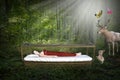 Sleeping Beauty, Fairy Tale, Fantasy, Nature Royalty Free Stock Photo