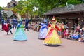 Sleeping Beauty Fairies from Festival of Fantasy Parade