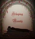 Sleeping beauty fairytale, Royalty Free Stock Photo