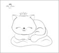 Sleeping Beauty little cat coloring