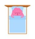 Sleeping brain isolated. Brains go to sleep. vector illustration