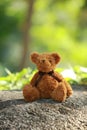 Sleeping brown bear doll, best friend sit alone Royalty Free Stock Photo