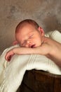 Sleeping in a bucket Royalty Free Stock Photo