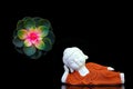 Sleeping buddha figurine and echeveria rainbow succulent plant on black background