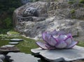 Sleeping buddha statue Royalty Free Stock Photo